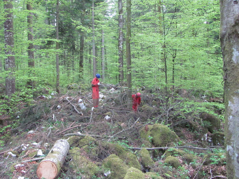 Marjan na vhodu nove