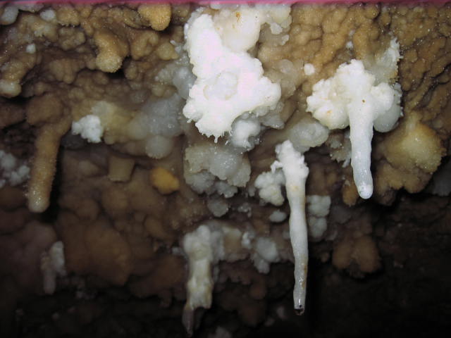 Jama S. treh kraljev