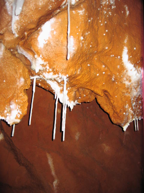 Jama S. treh kraljev