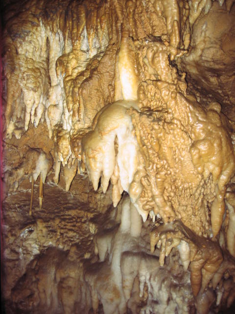 Jama S. treh kraljev