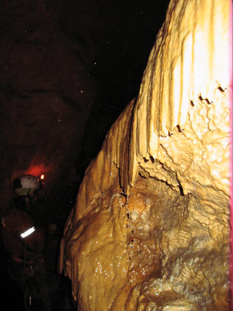 Jama S. treh kraljev