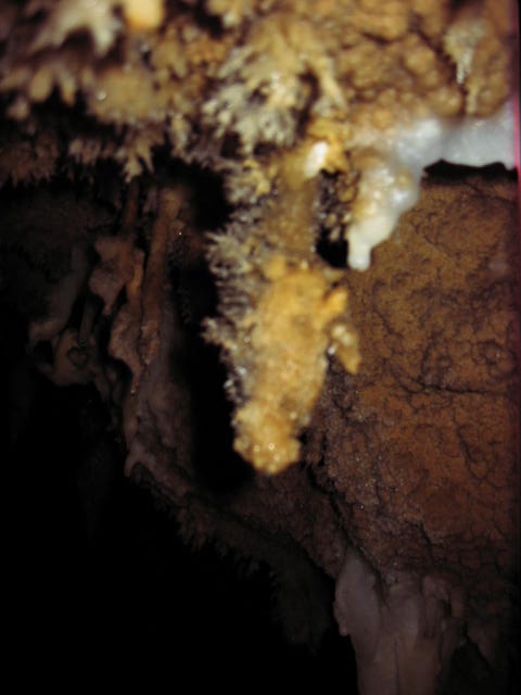 Jama S. treh kraljev