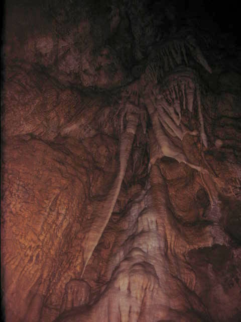 Jama S. treh kraljev